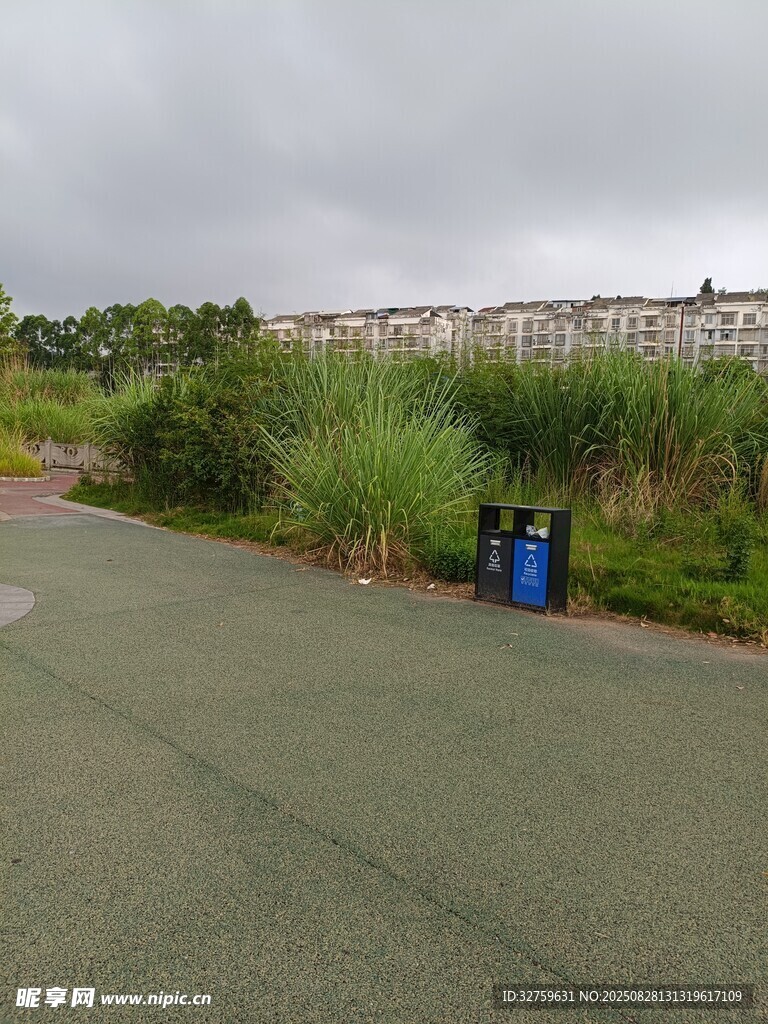 路边绿植与蓝色垃圾桶
