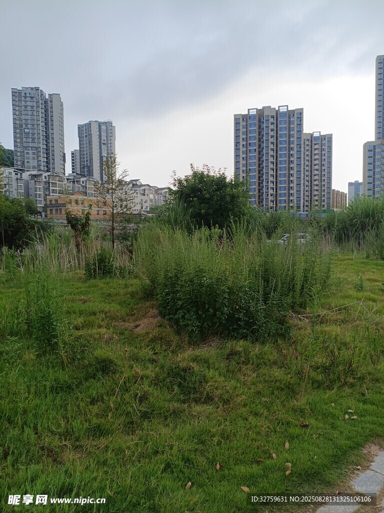 城市边的绿地景观