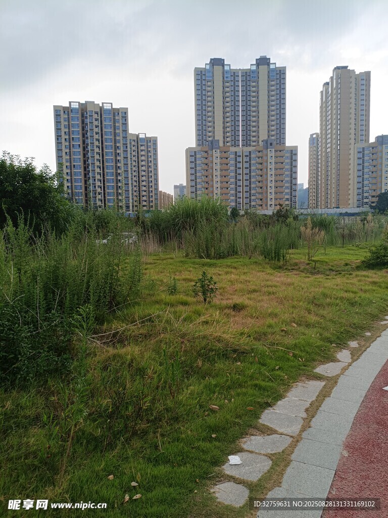城郊草地旁的高楼景观