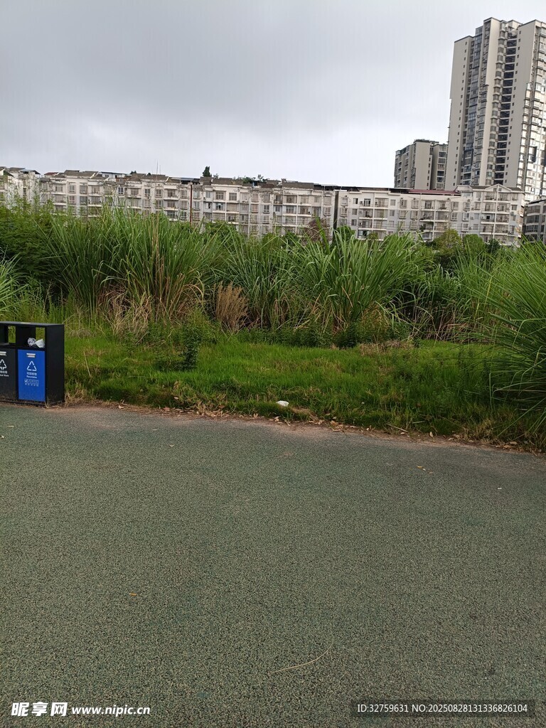 城市绿地旁的高楼景观