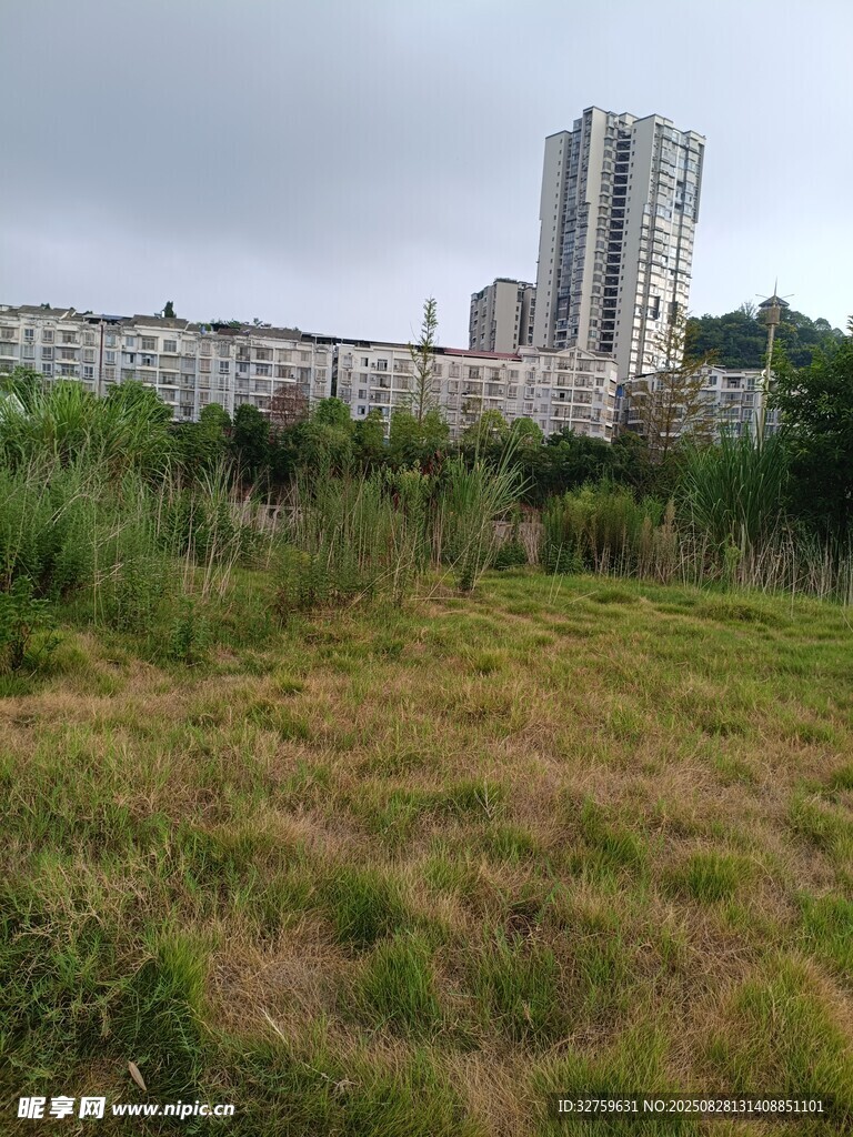 城市边的草地与高楼景观