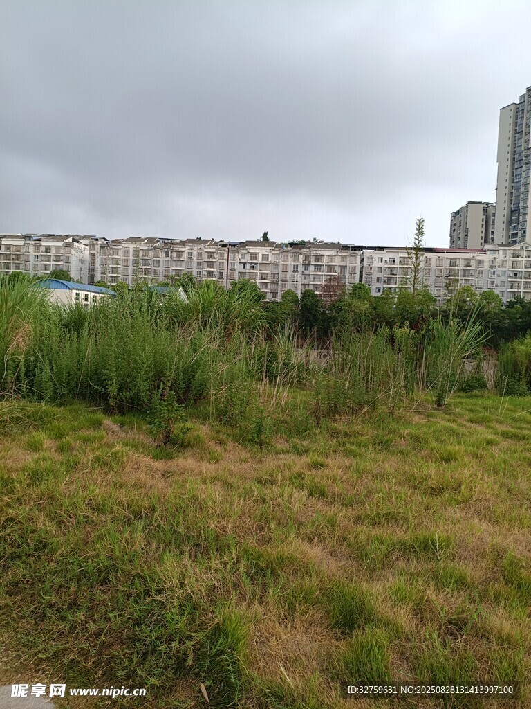 城郊草地与远处高楼景象