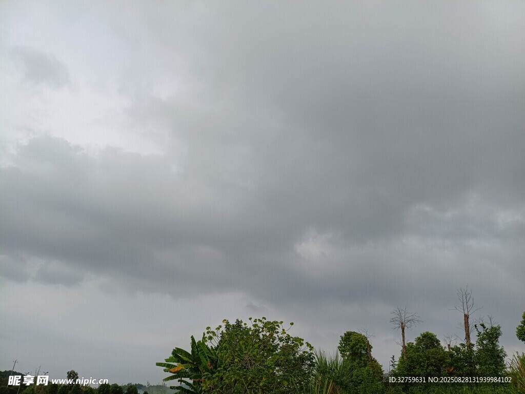乌云笼罩下的绿植景观