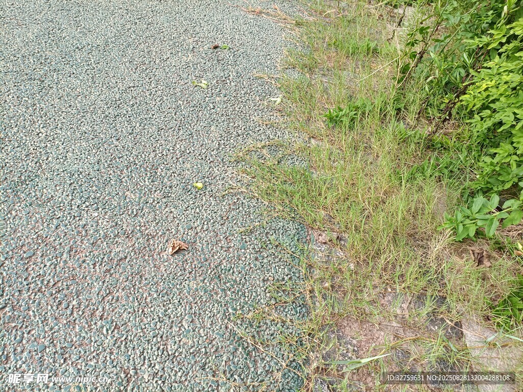 碎石路旁的绿色植被