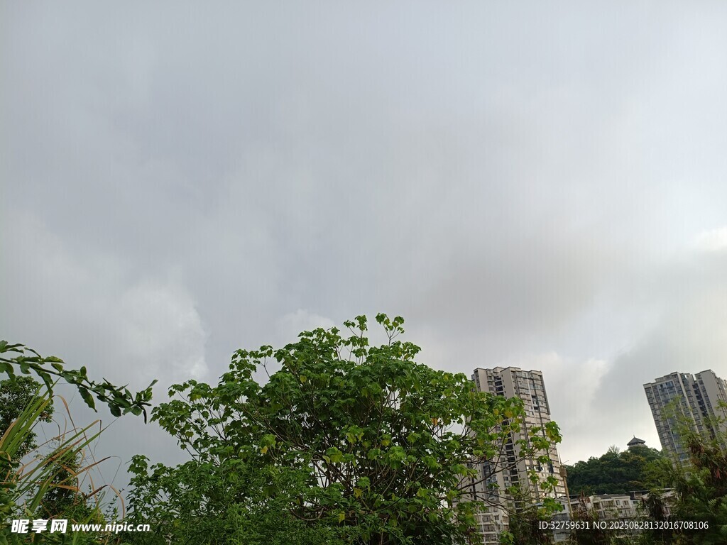 阴天中的绿植与建筑物