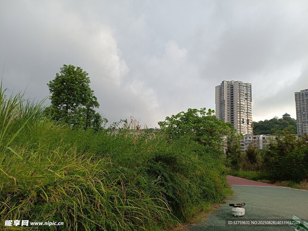 城市边的绿植与道路景观