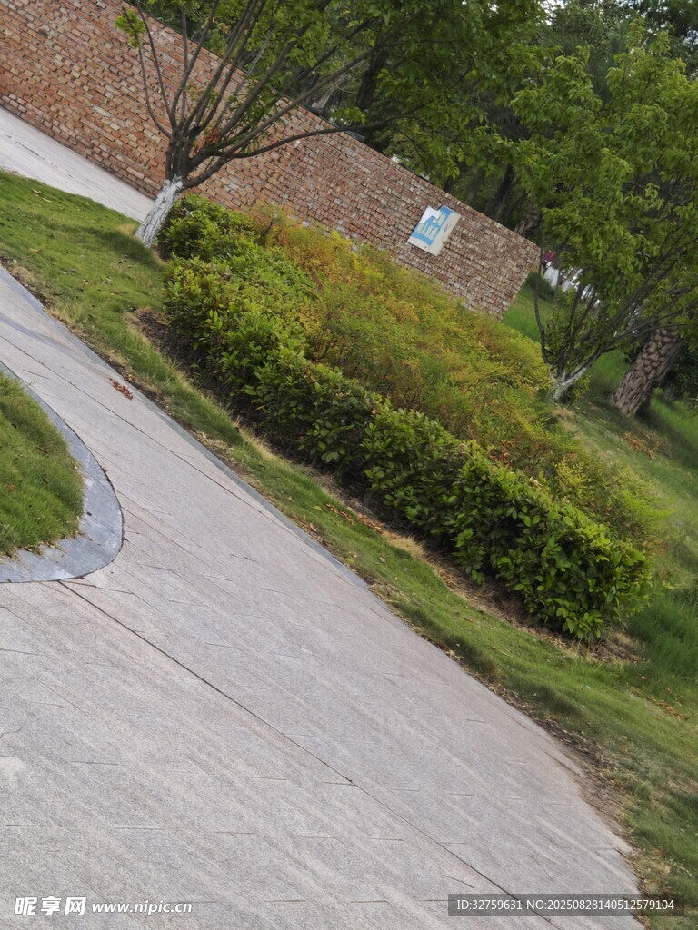 小区旁的绿植景观道路
