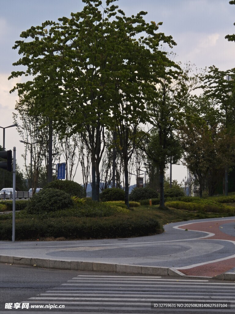 城市街角绿树与道路景观