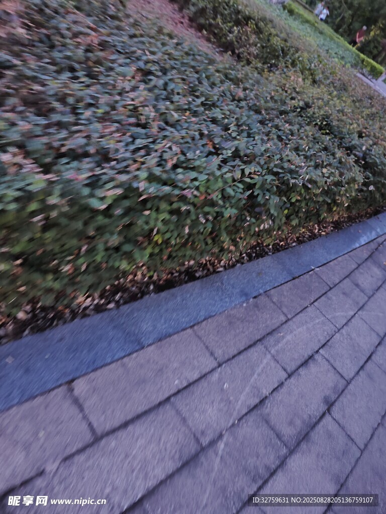 砖石步道旁的绿植景观