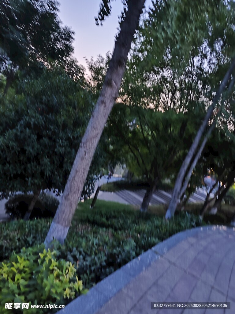 城市林荫小道的静谧景致