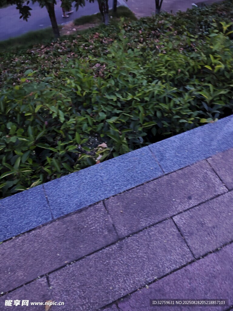 路边绿植与砖石步道景观