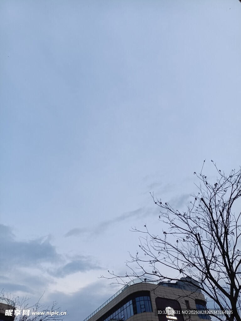 天空下的房屋与光秃树木