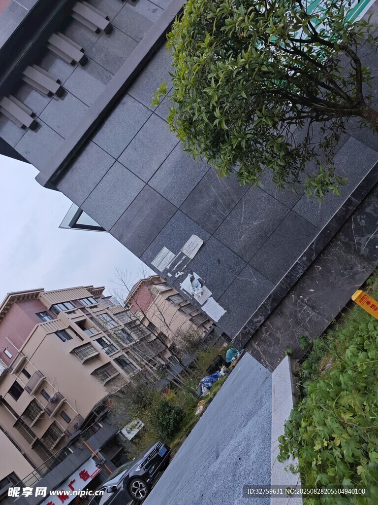 城市街角建筑与绿植景观