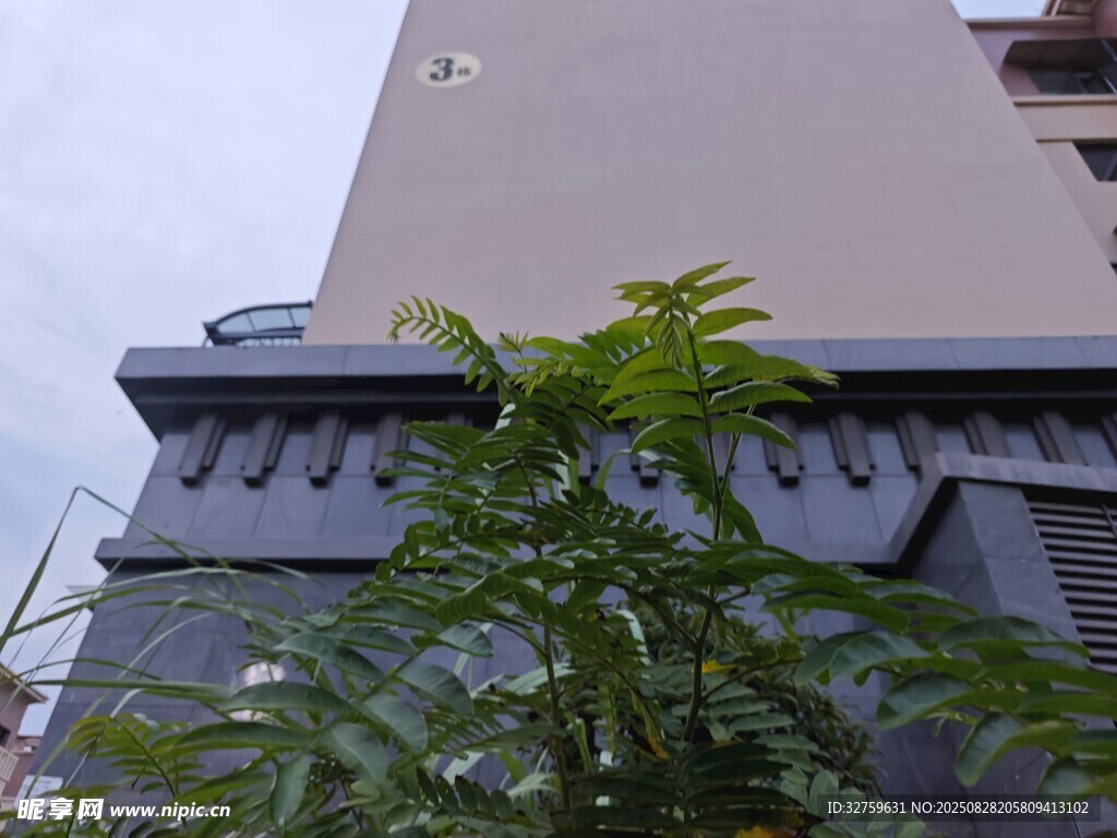 绿植映衬下的建筑一角