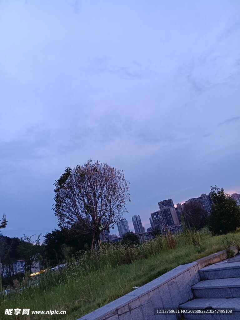 黄昏下的城市草地景观