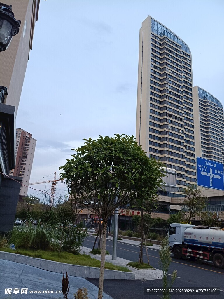 城市高楼与街边绿植景观