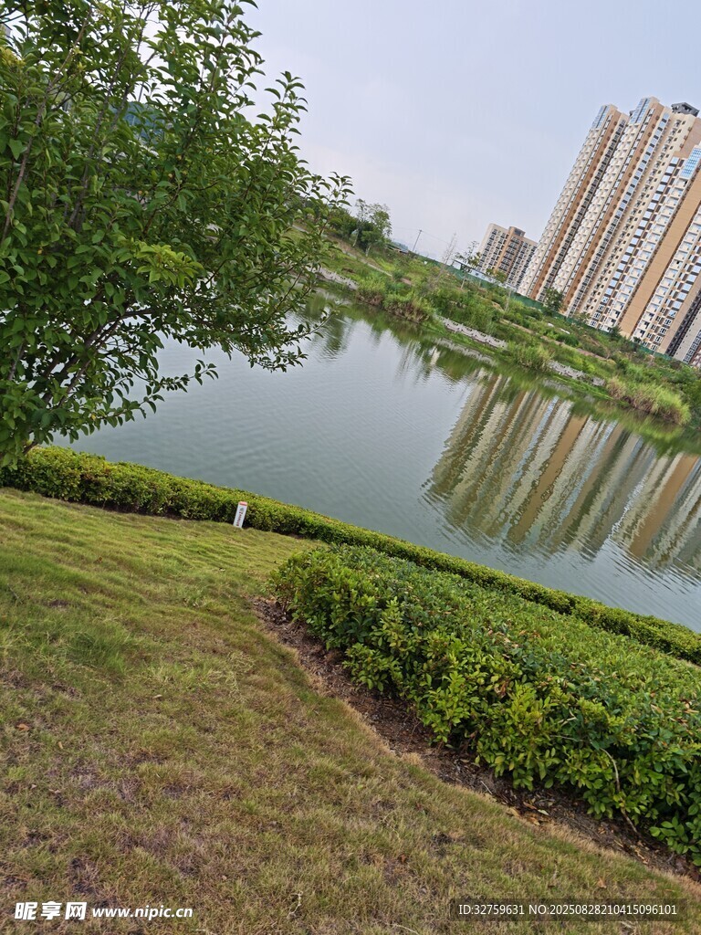 湖畔绿植与高楼倒影美景