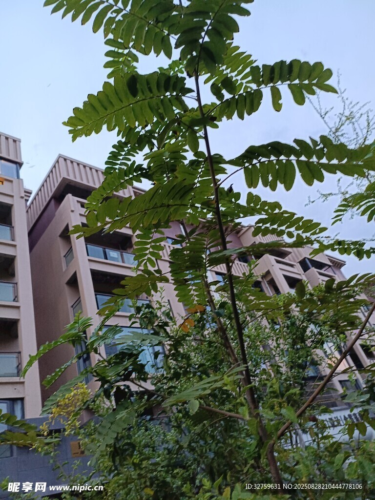 绿植环绕的多层建筑