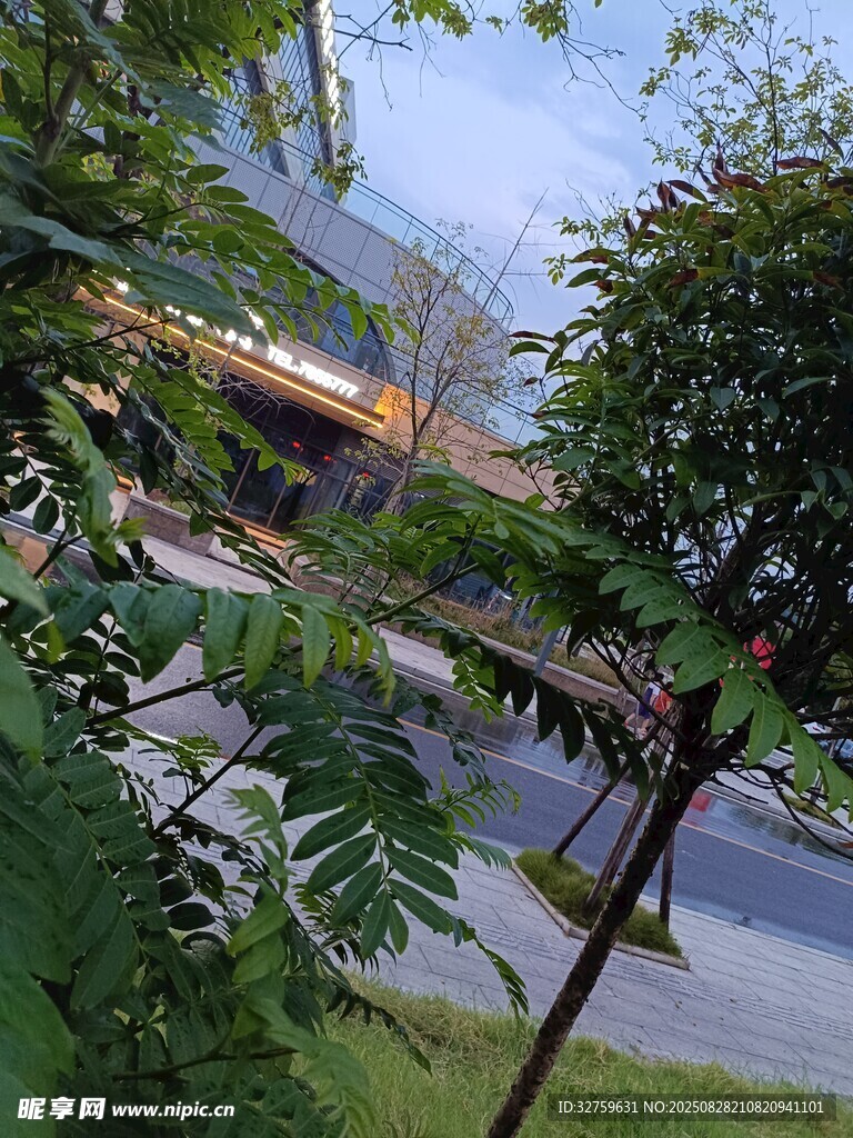 户外绿植与建筑景观