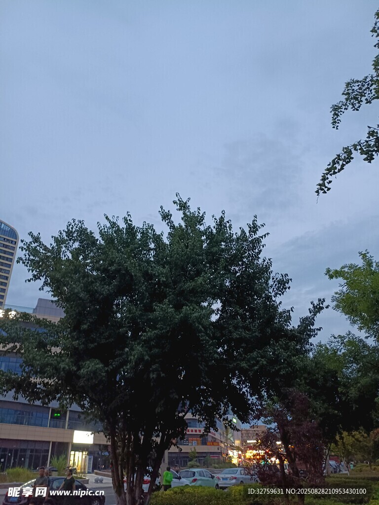 黄昏下的绿树与远处建筑