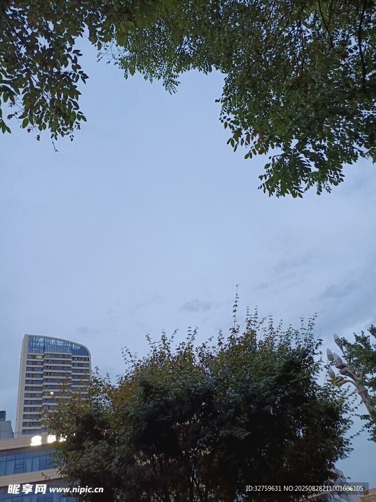 城市树梢间的建筑景致