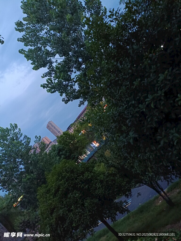 绿树环绕中的建筑景观