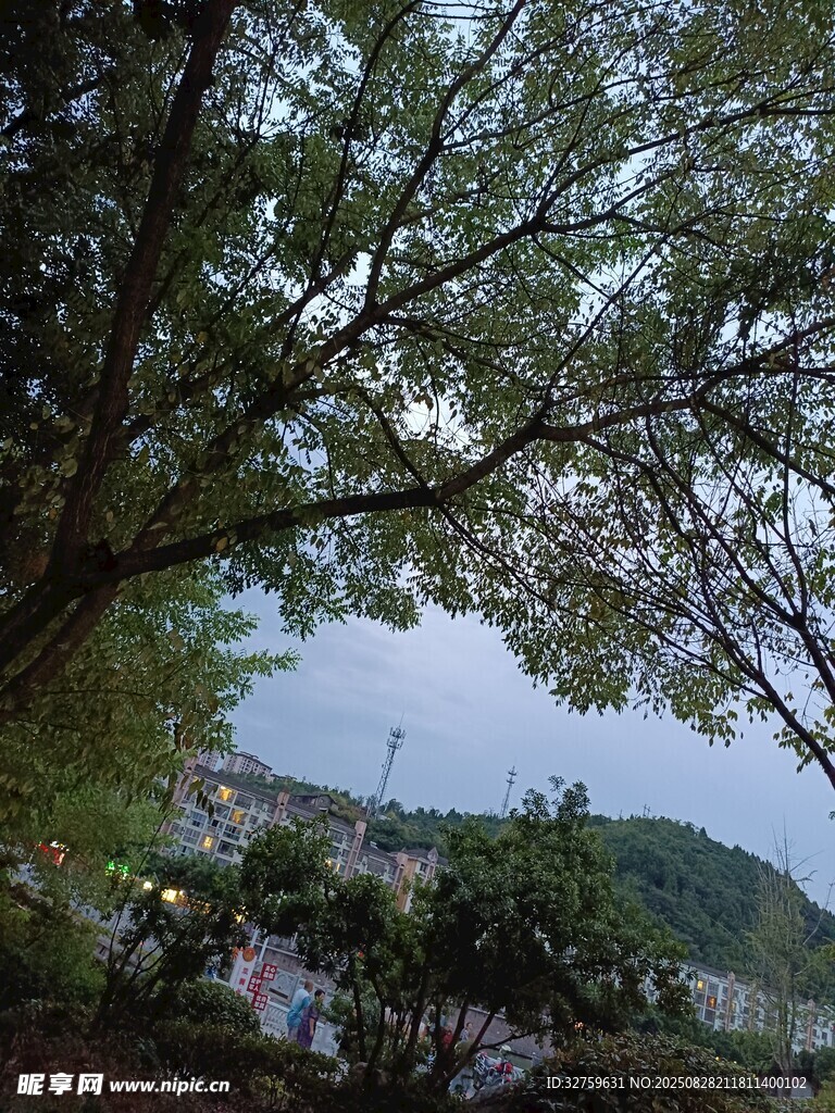 透过枝叶望山水景色