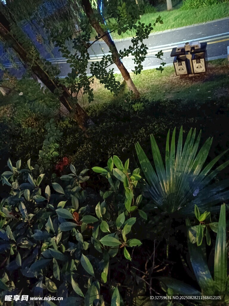 静谧户外绿植旁休闲场景