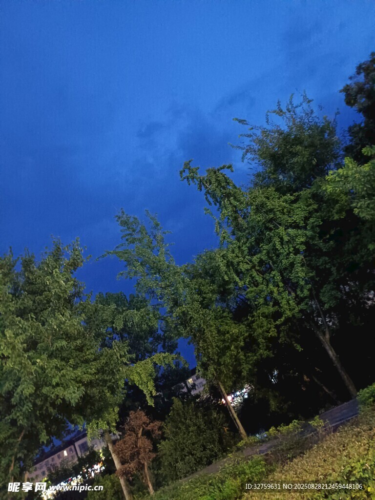 蓝天绿树间的户外景致