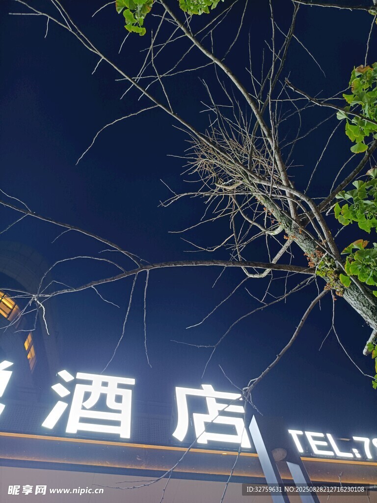 夜晚中的酒店招牌