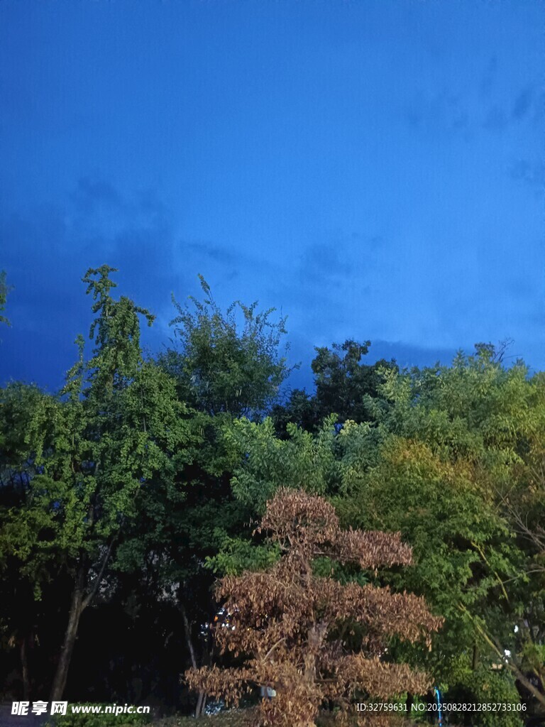 蓝天绿树间的红砖景致