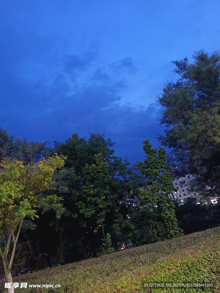 黄昏下的树林与开阔草地