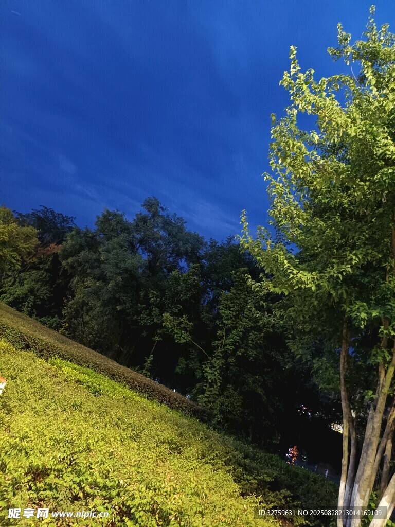蓝天绿树间的清新景致