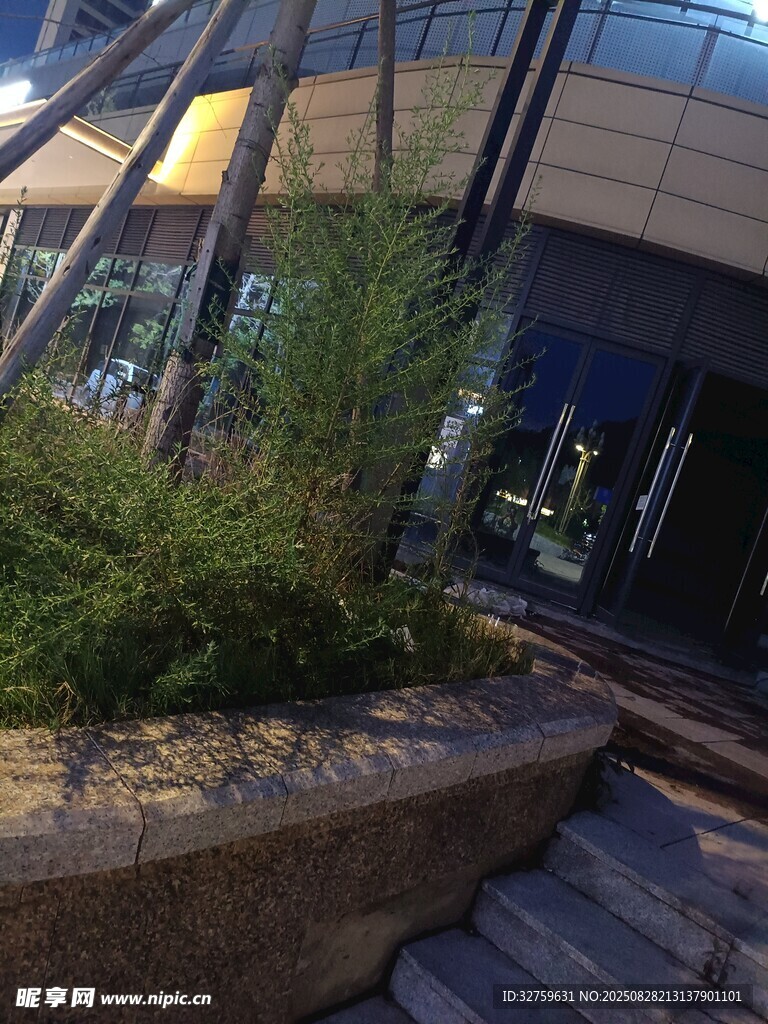 城市建筑旁的绿植景观
