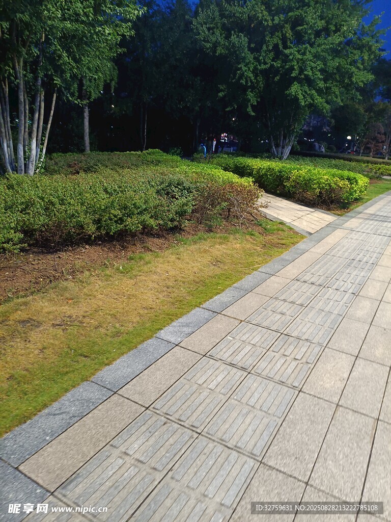 公园中的石板小径与绿植