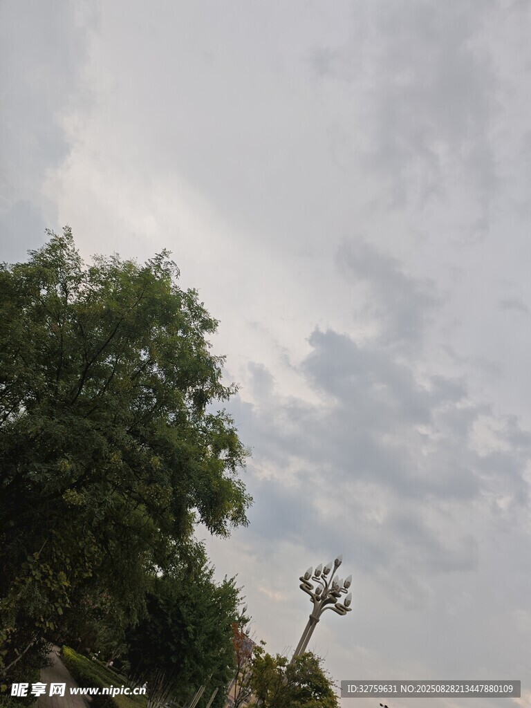 天空下的绿树与路灯