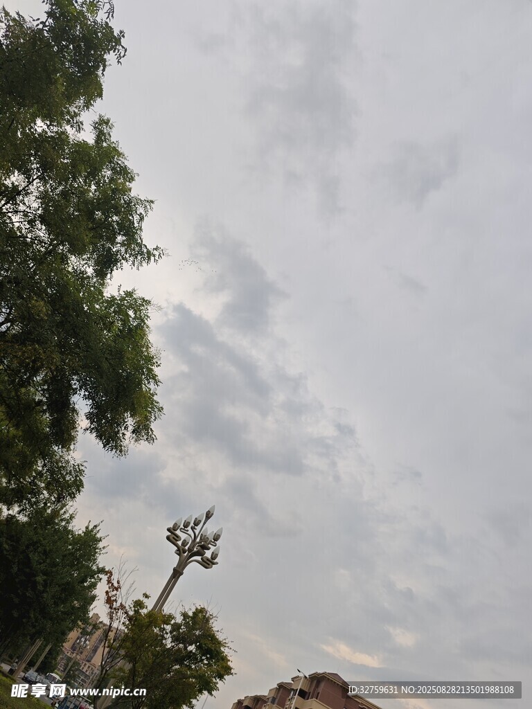 天空下的绿树与街边景象