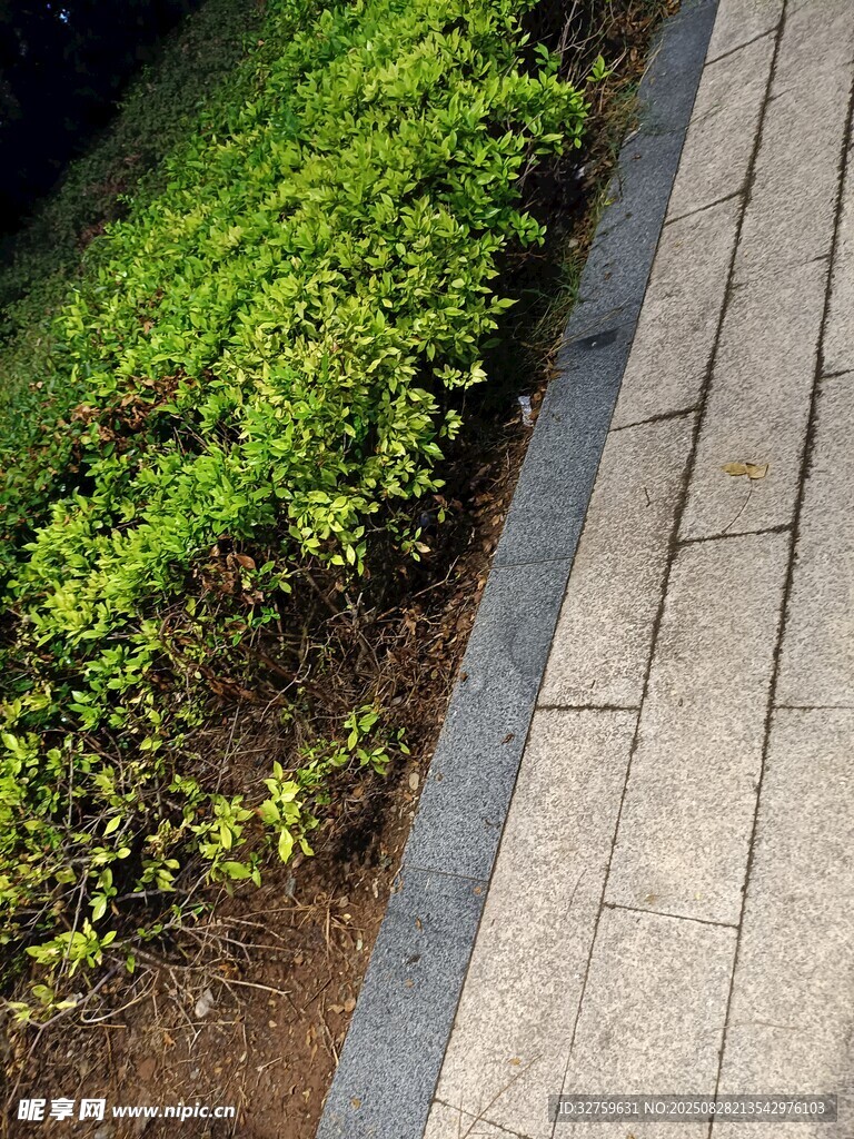 路边绿植与砖石步道景观