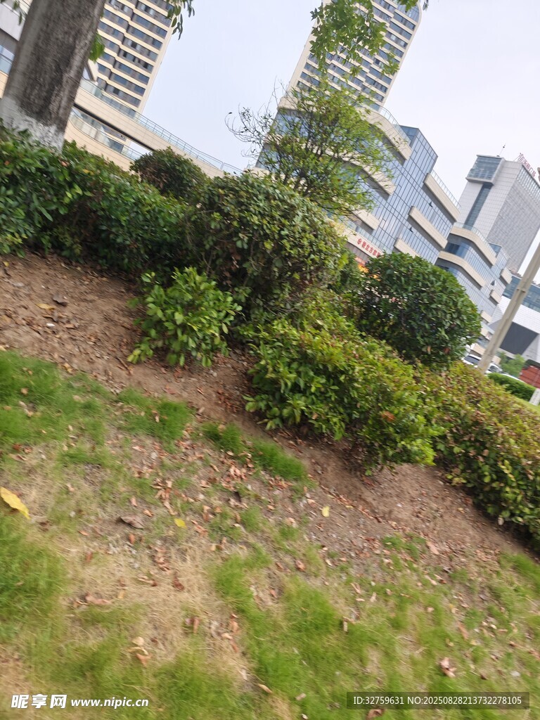 城市绿化带景观
