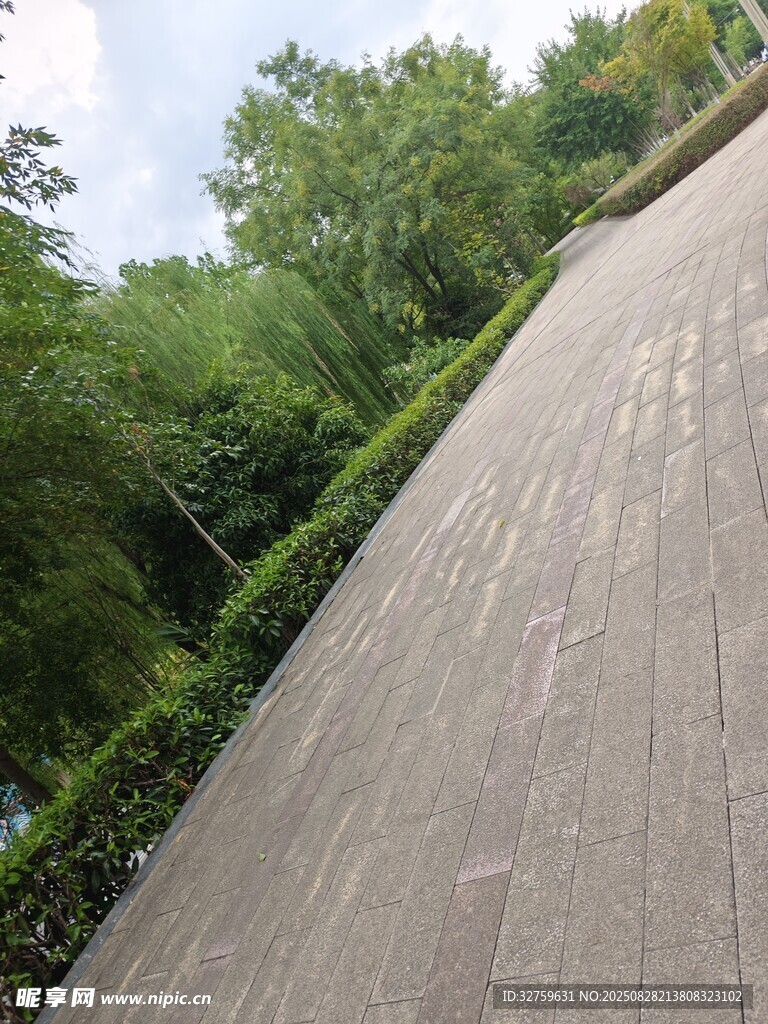 林间平整水泥路