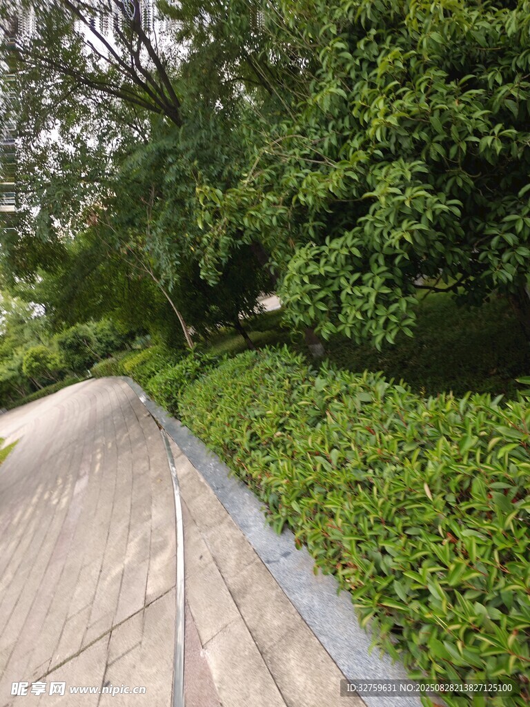 林间木栈道 