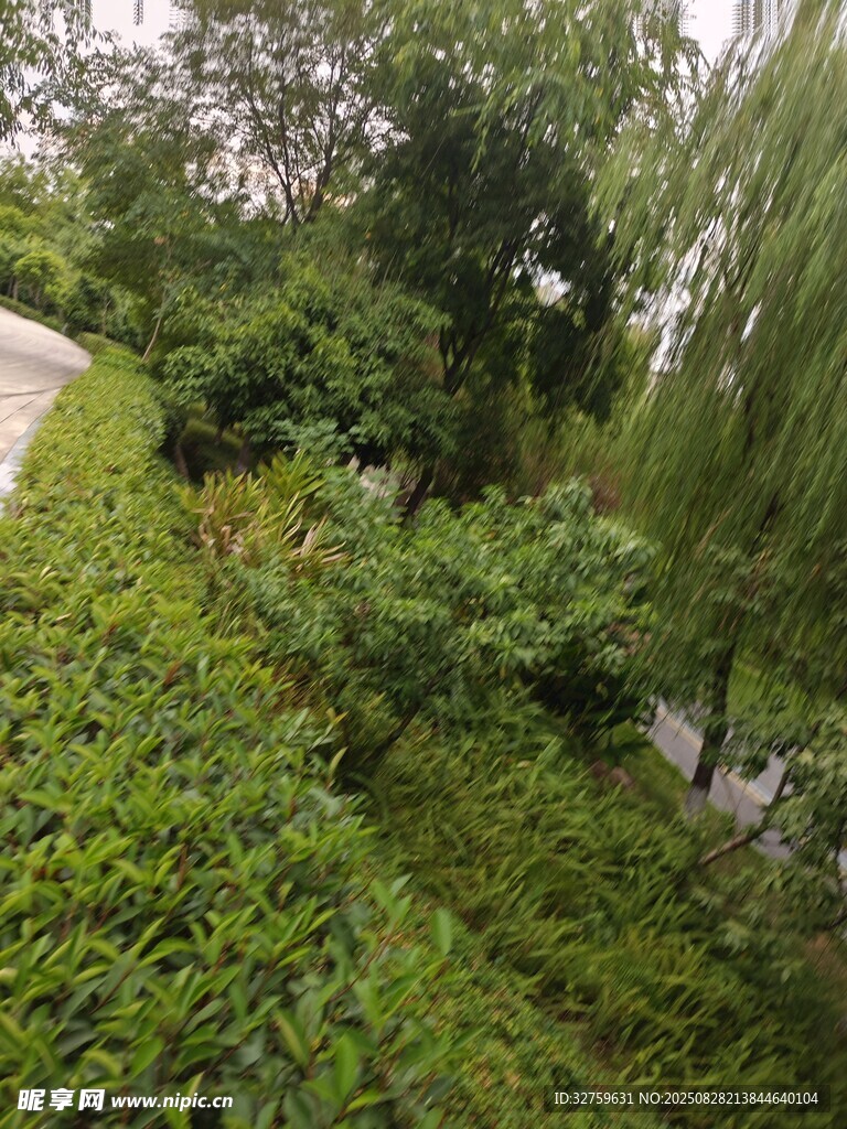 绿意盎然的园林景观
