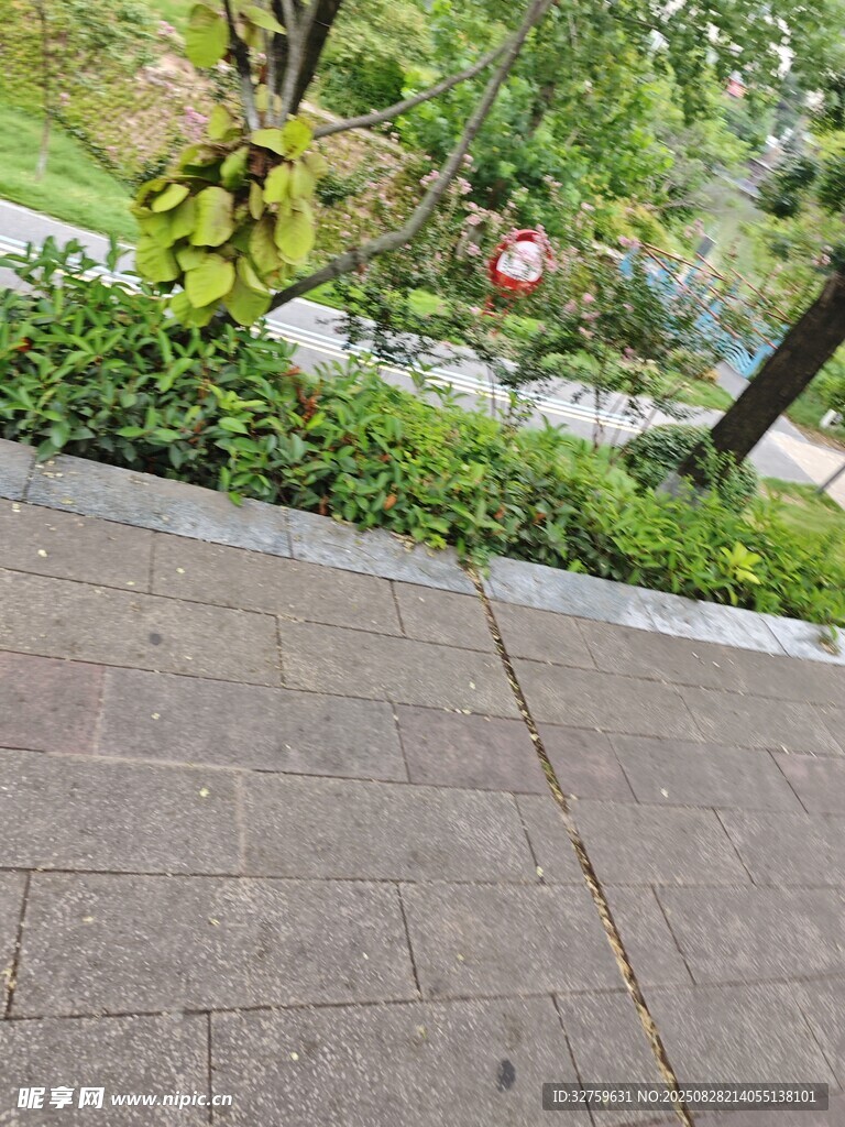 户外庭院石板路绿植景观