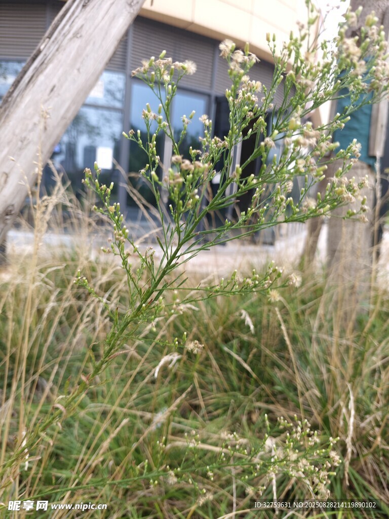 户外绿植环绕的建筑一角