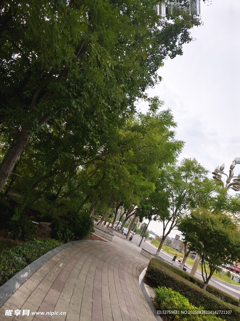 林间漫步道 