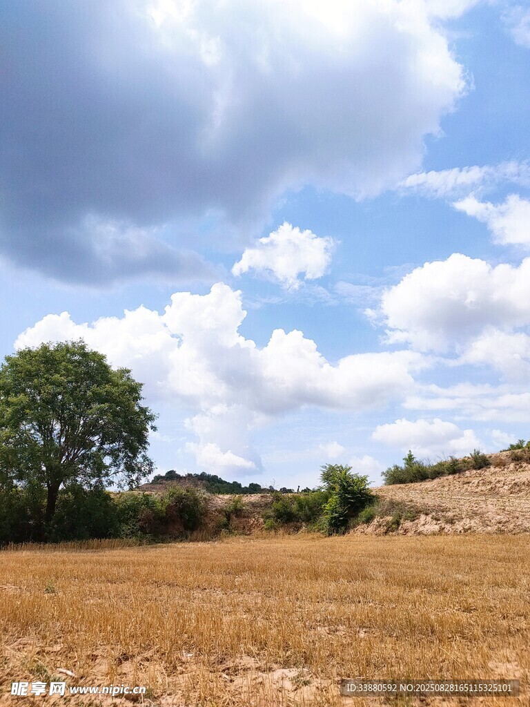 原野