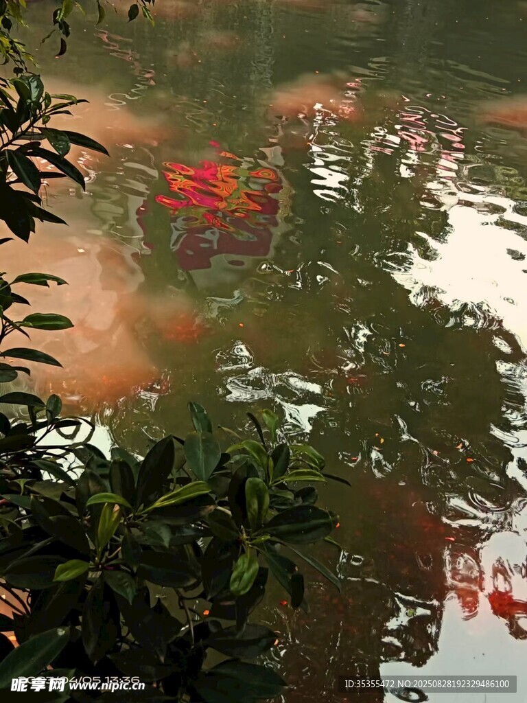 水中花树倒影美景
