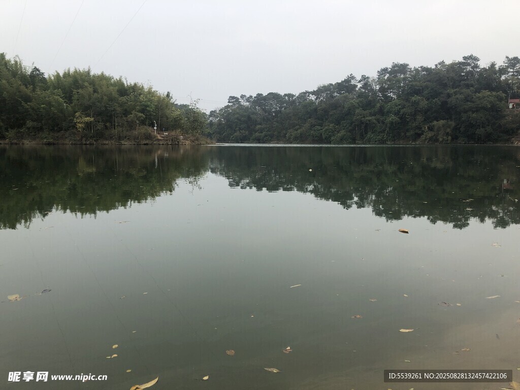 宁静湖面与岸边树林倒影