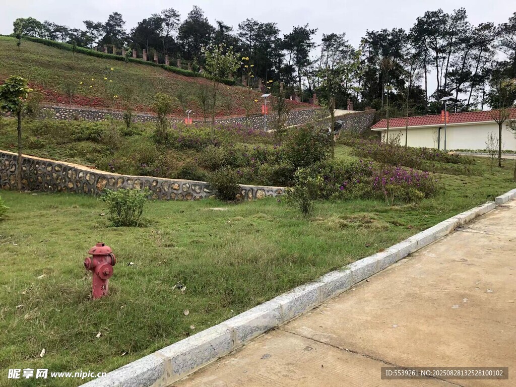 户外绿地旁的小径景观