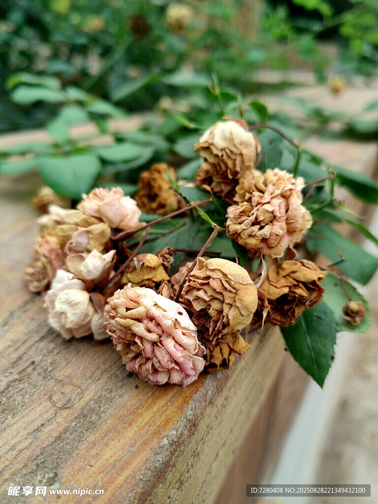木桌上的干花与绿叶